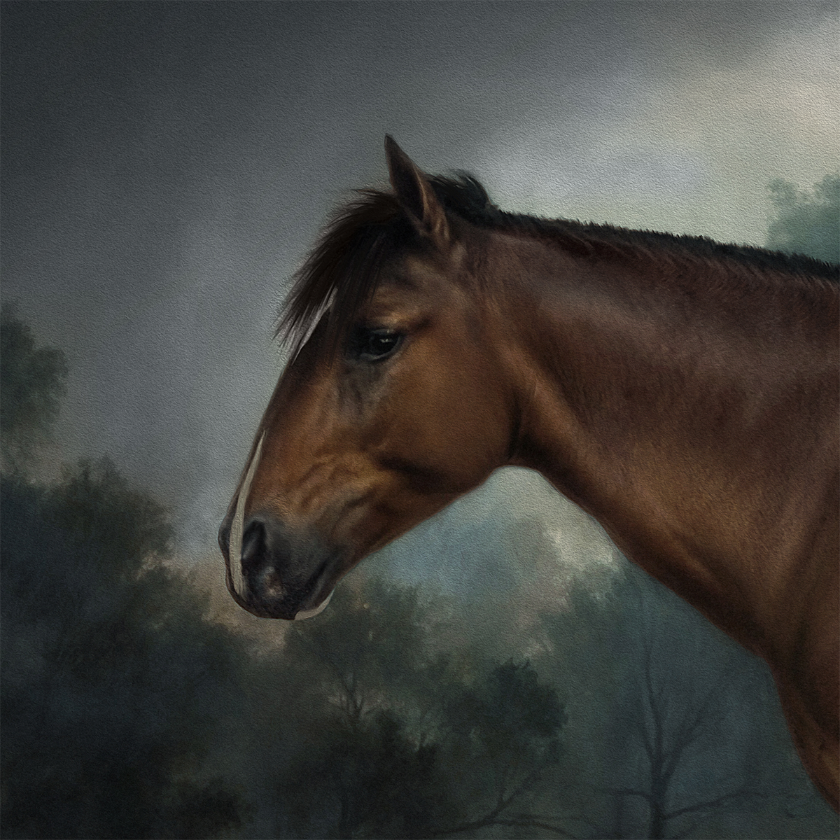 Demetrio Caballo Chileno